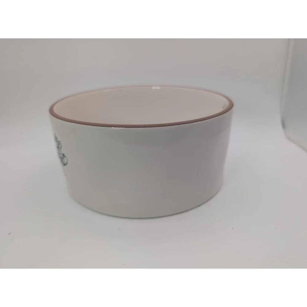 Rae Dunn x Disney Winnie The Pooh White Ceramic Dog Bowl NWT Cottagecore Dinner